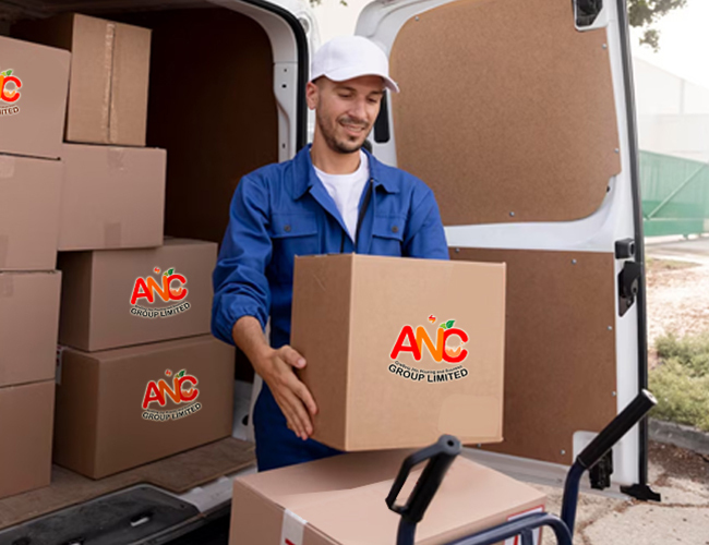 Delivery worker loading ANC Group Limited boxes into a van, ensuring efficient logistics.